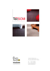 tecsom.jpg